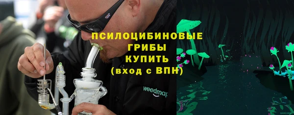 соль ск Богданович