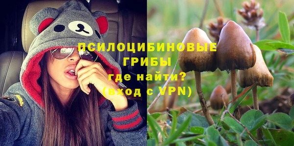 твердый Богородицк