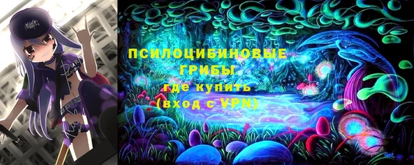 спиды Богородск