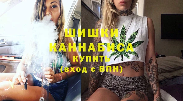твердый Богородицк