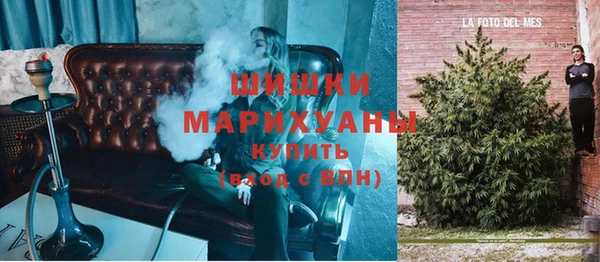 соль ск Богданович