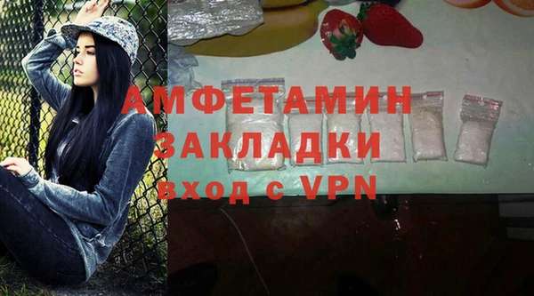твердый Богородицк