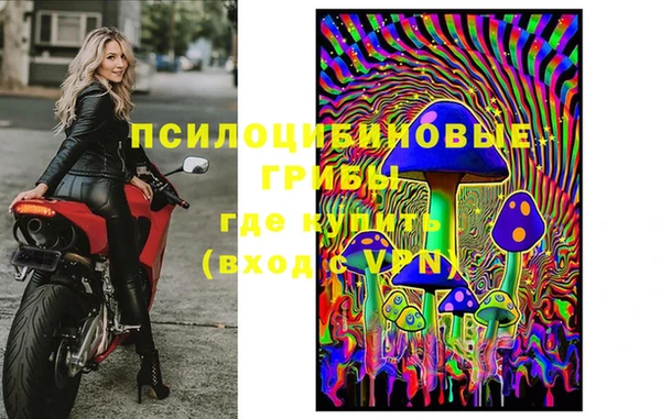 твердый Богородицк