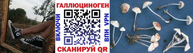 Галлюциногенные грибы прущие грибы  Кимовск 