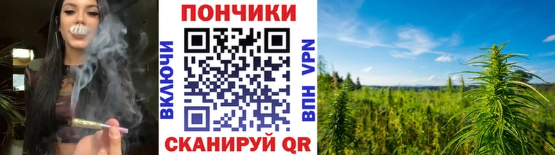 ссылка на мегу маркетплейс Кимовск Бошки Шишки семена